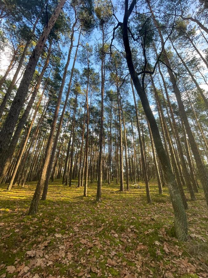 Park Rekreacyjno-Biznesowy Las Woda Вілга Екстер'єр фото