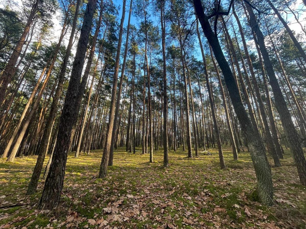 Park Rekreacyjno-Biznesowy Las Woda Вілга Екстер'єр фото